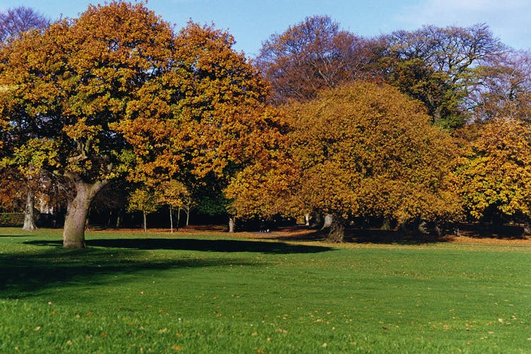 Birkenhead Park
