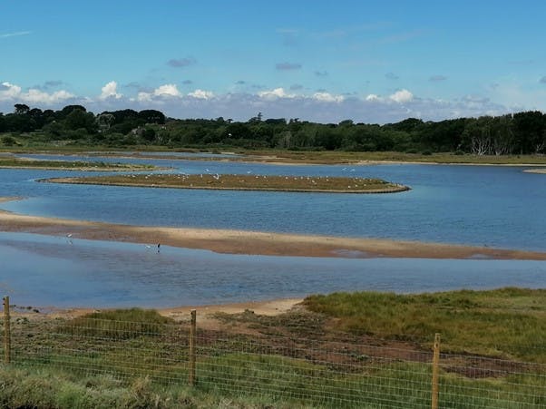 Saline Lagoons (Source: Environment Agency)