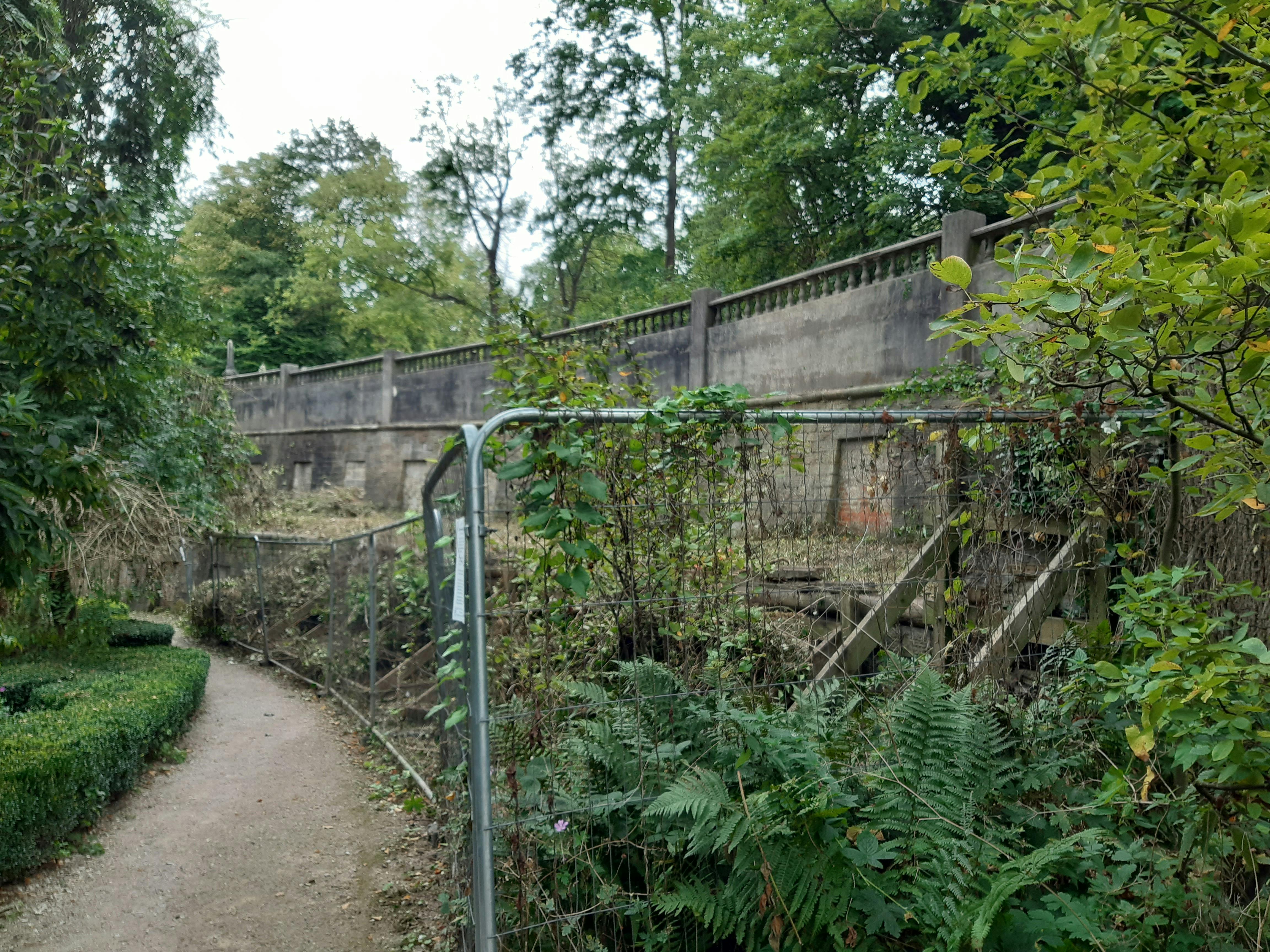 2Catacomb lower terrace BEFORE.jpg
