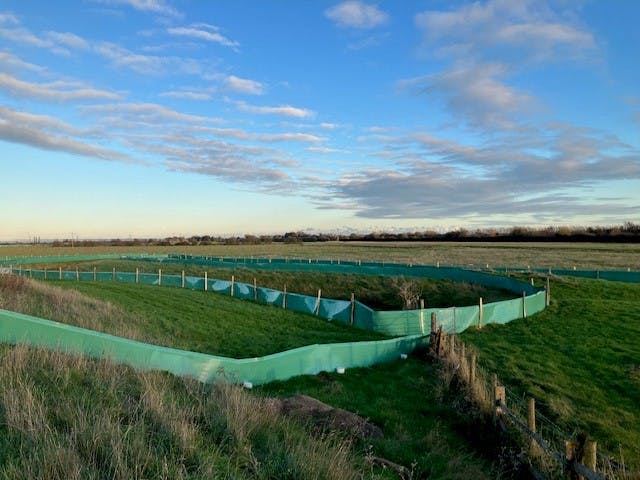 Habitat fencing at Scots Float Sluice 