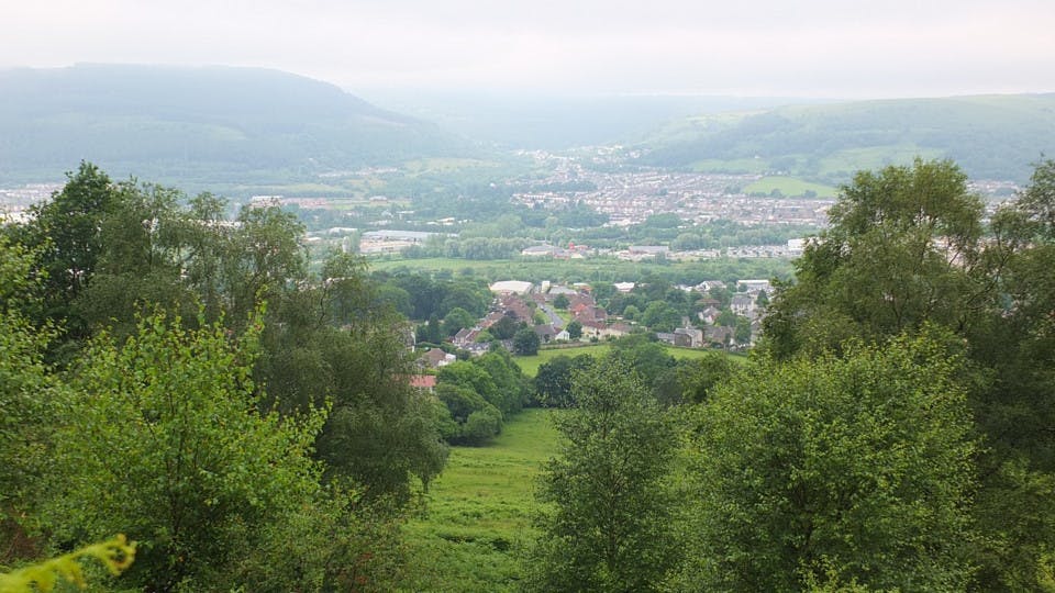 Trees will grow everywhere in Rhondda Cynon Taf they thrive in this kind of weather