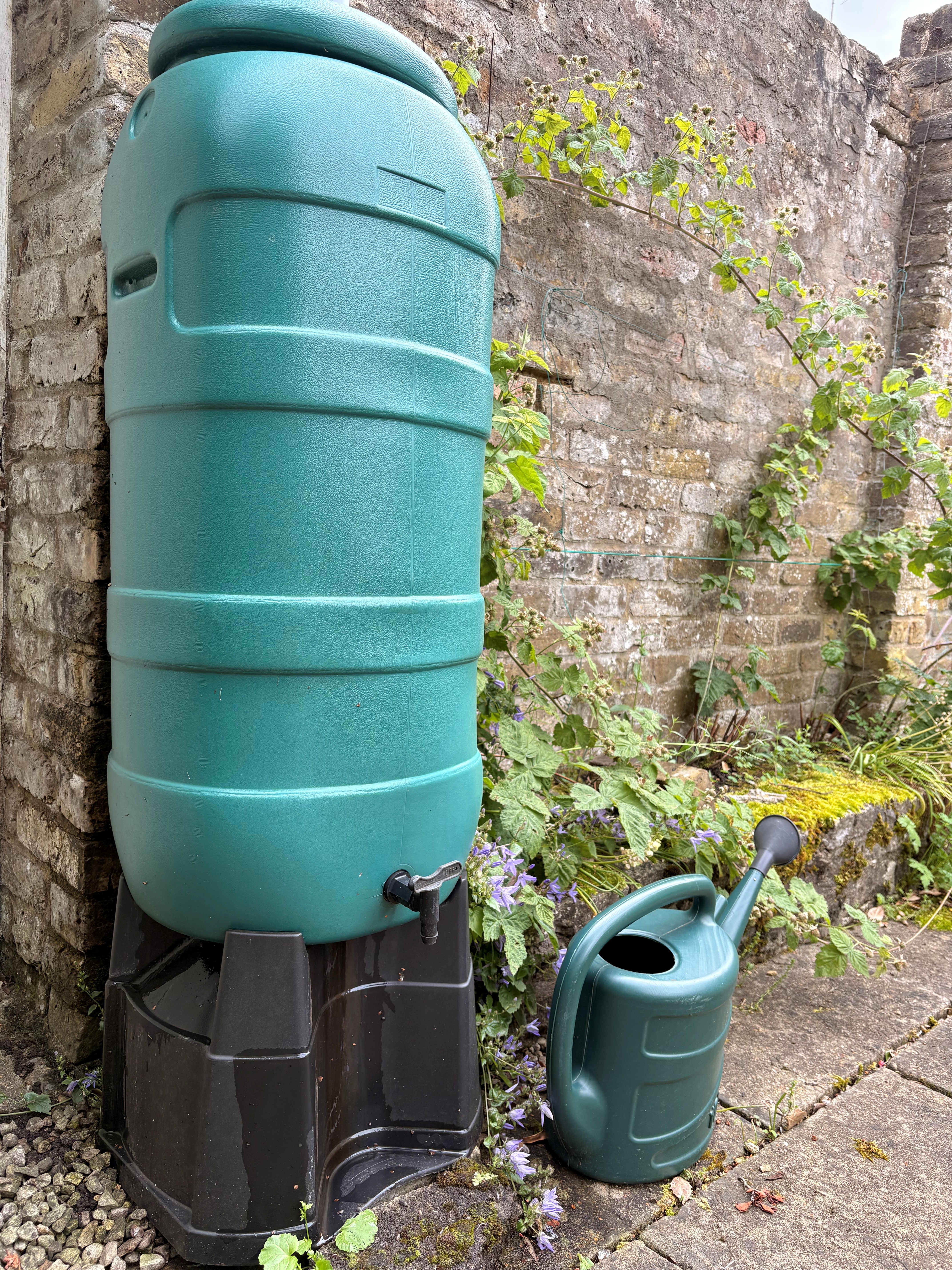 Win a 100-litre water butt!