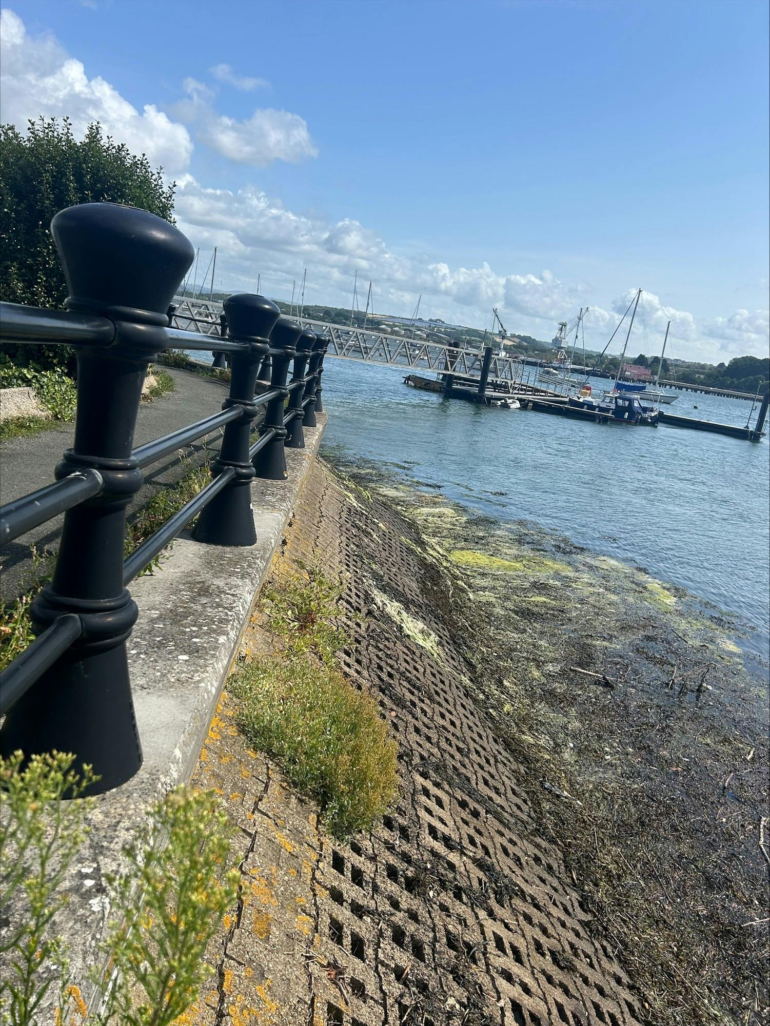 Existing Revetment Damage (3).jpeg