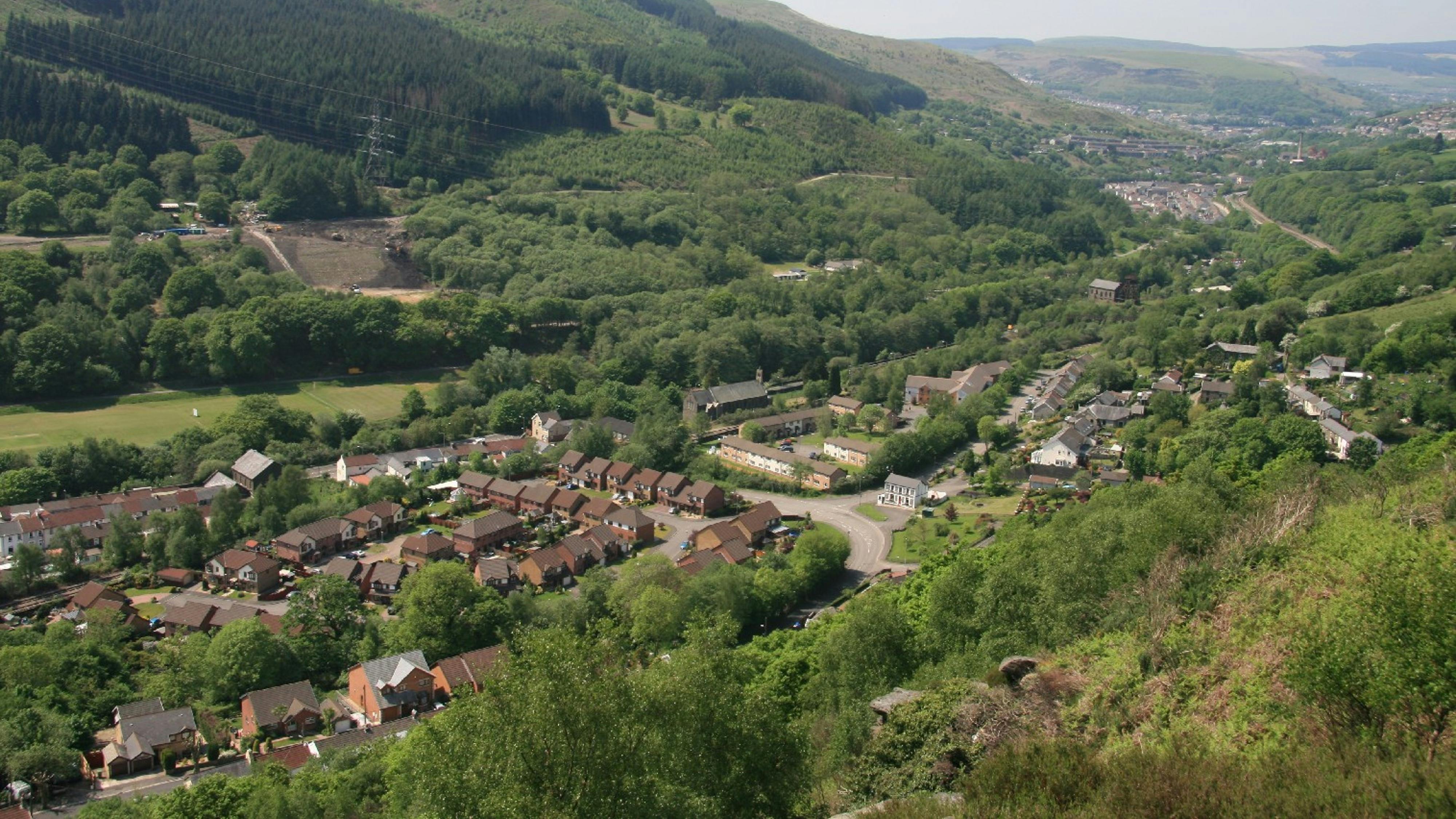 Living in a wood helps keep our homes cool and the air fresher as temperatures rise