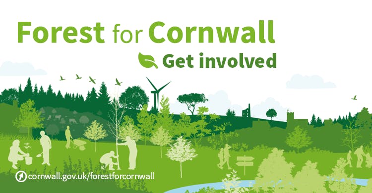 Team member, Forest for Cornwall Team