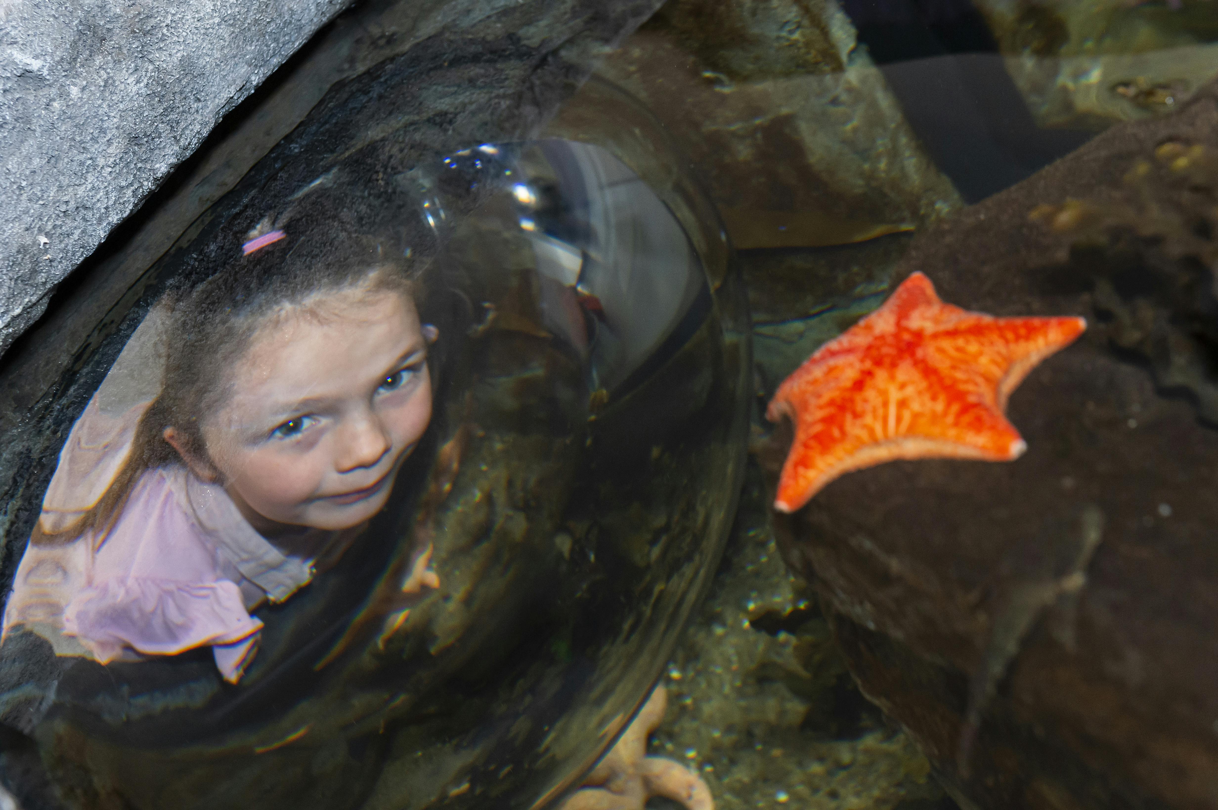 Child looking up though dome.jpg