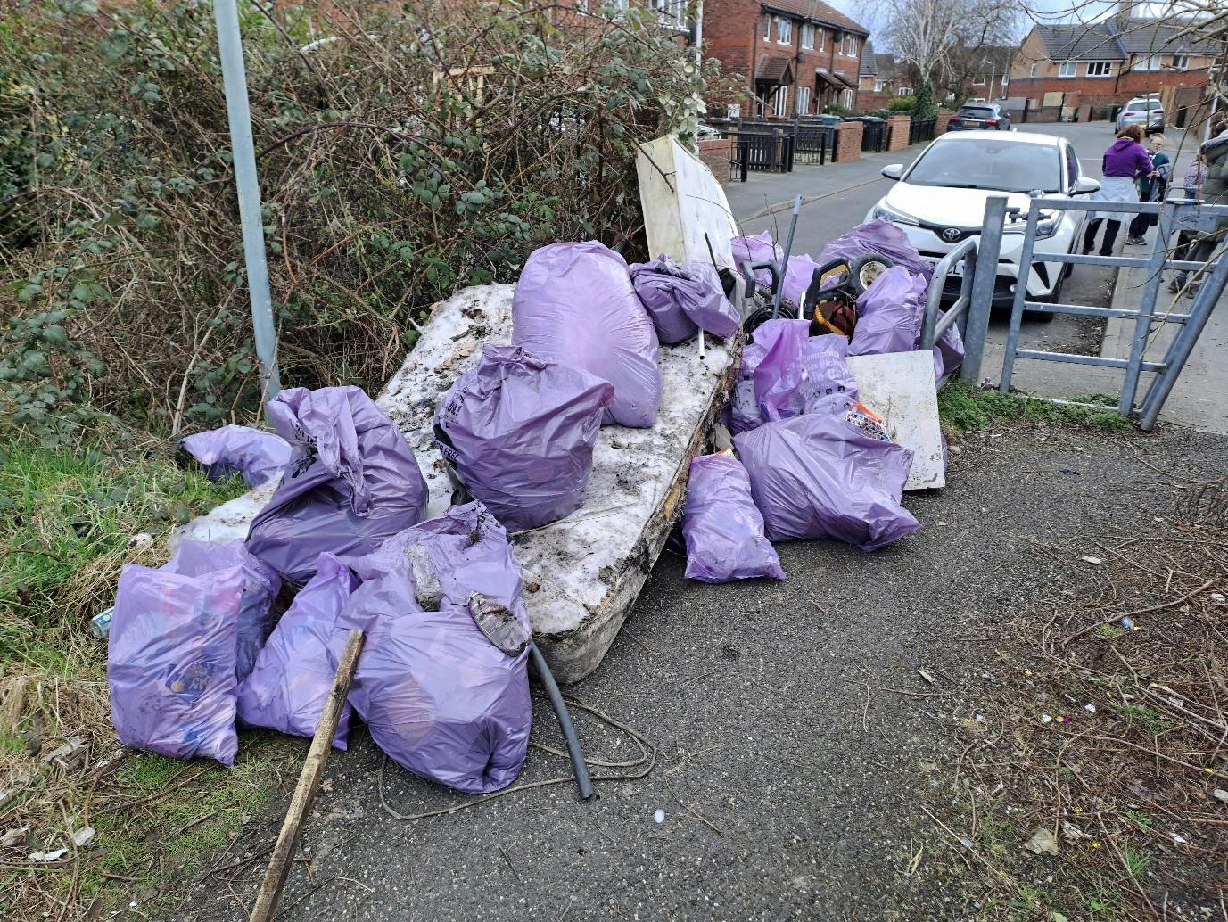Litter pick 1.jpg