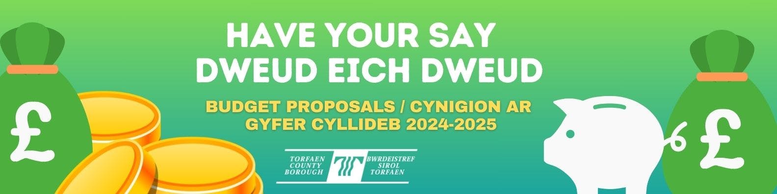 Dweud eich dweud - Cynigion ar Gyfer Cyllideb 2024-2025