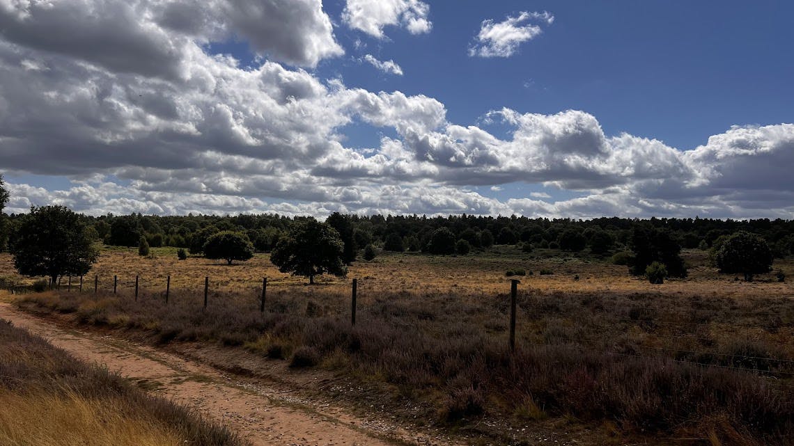 Budby South Forest Notts.jpg.jpg