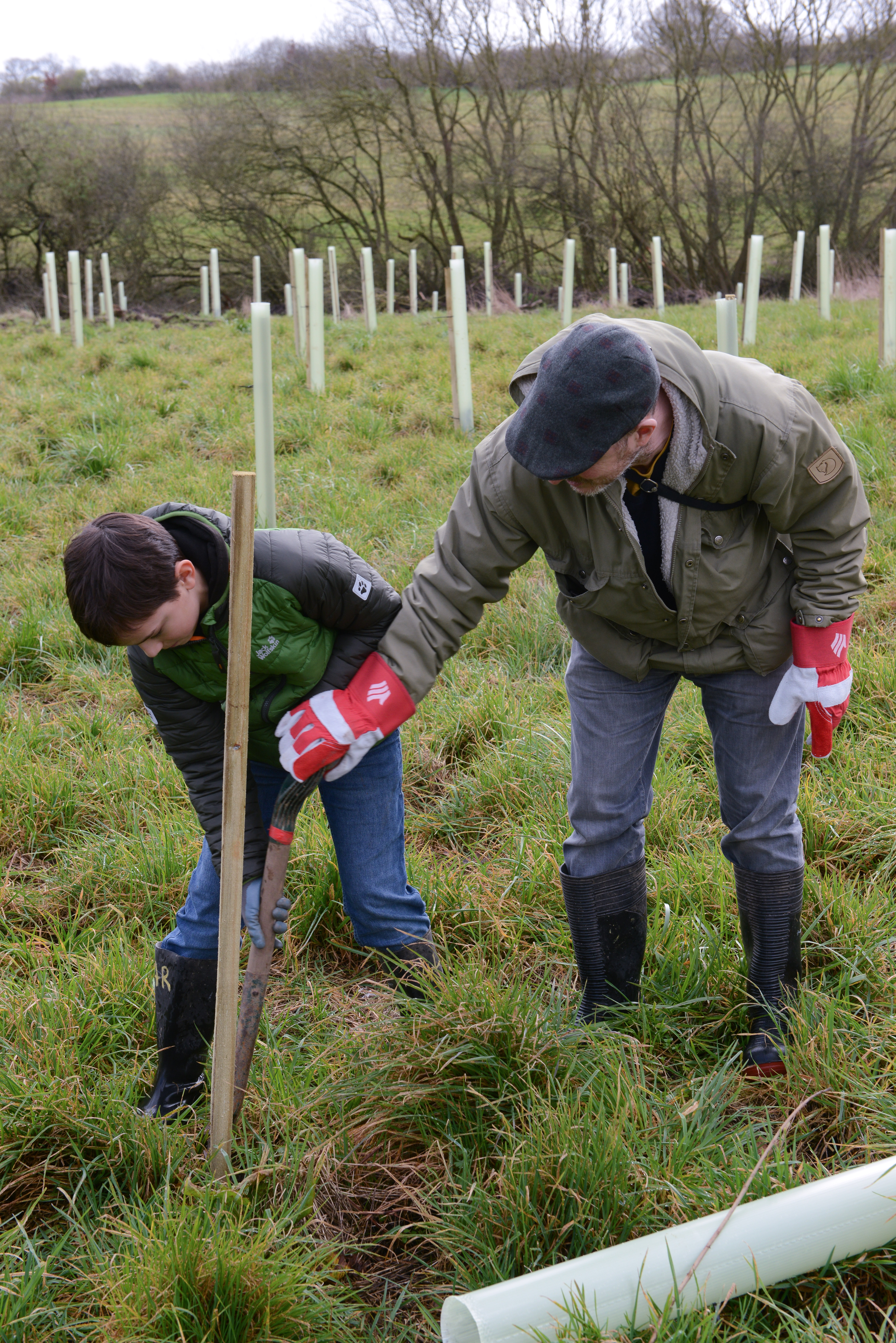 Suggest where we should plant trees in Enfield | Let's Talk Enfield