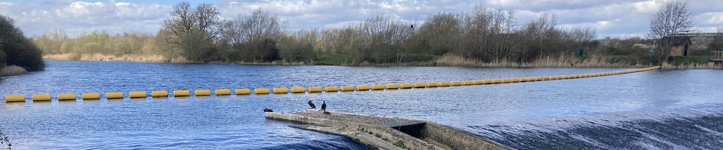 Image of the Jubilee Flood Relief Channel at Manor Farm Weir taken March 2025