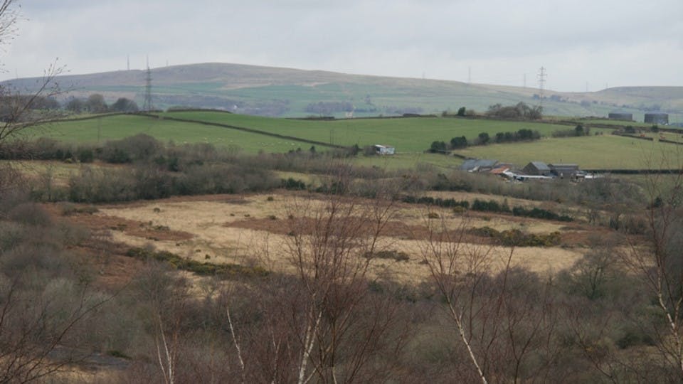 Hedgerows are part of our lowland landscape. Most are ancient, left when fields were cut from the wildwood. Some are close cropped, others spread, become lines of trees or woods.  