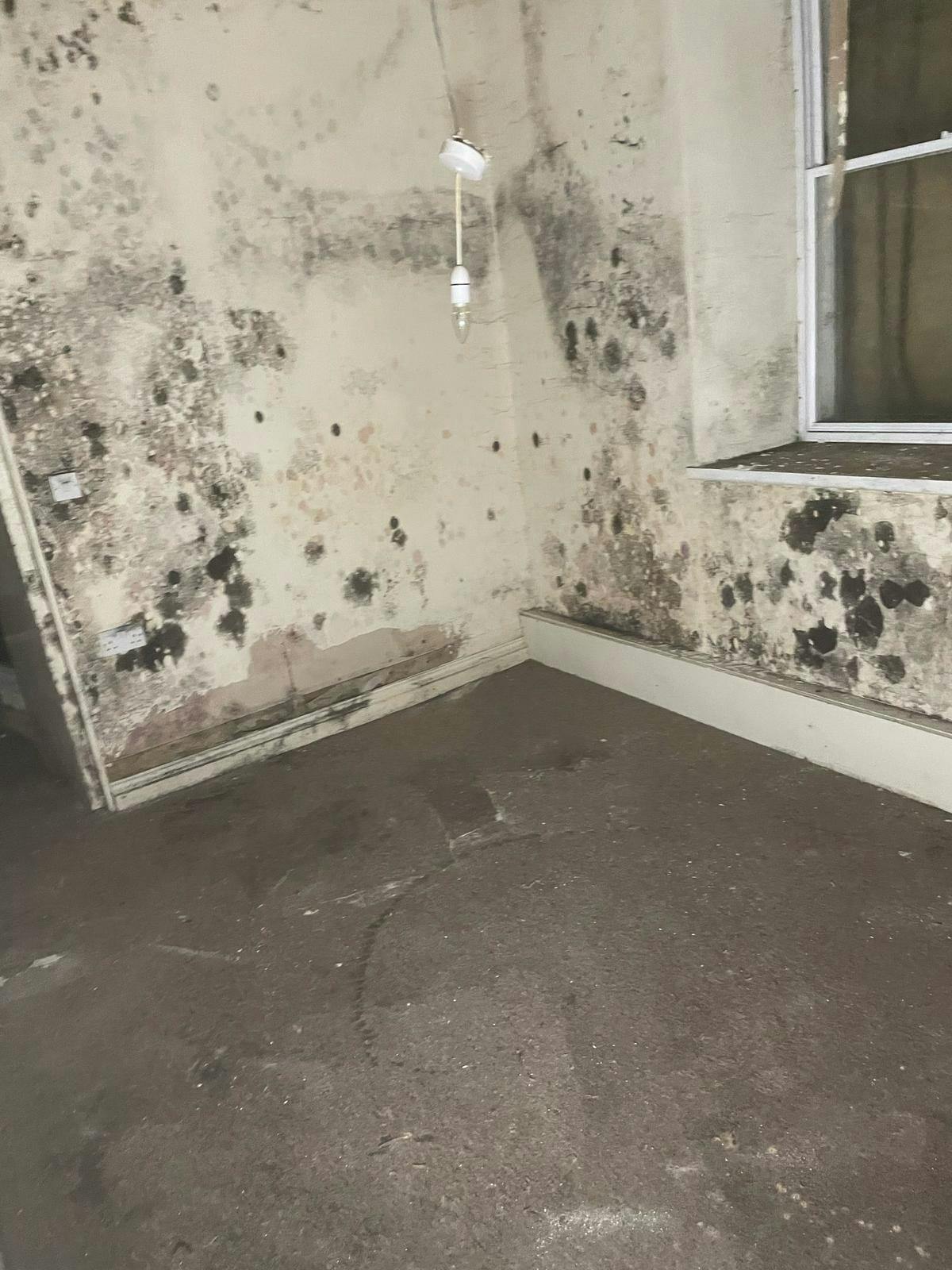 Number 3 - Flat 2 Bedroom.jpg