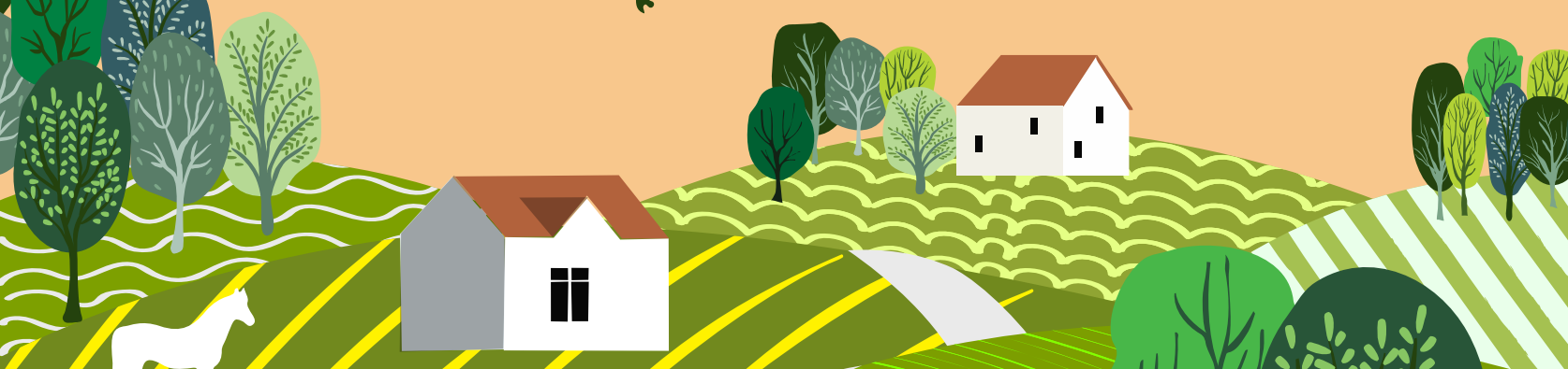 project banner