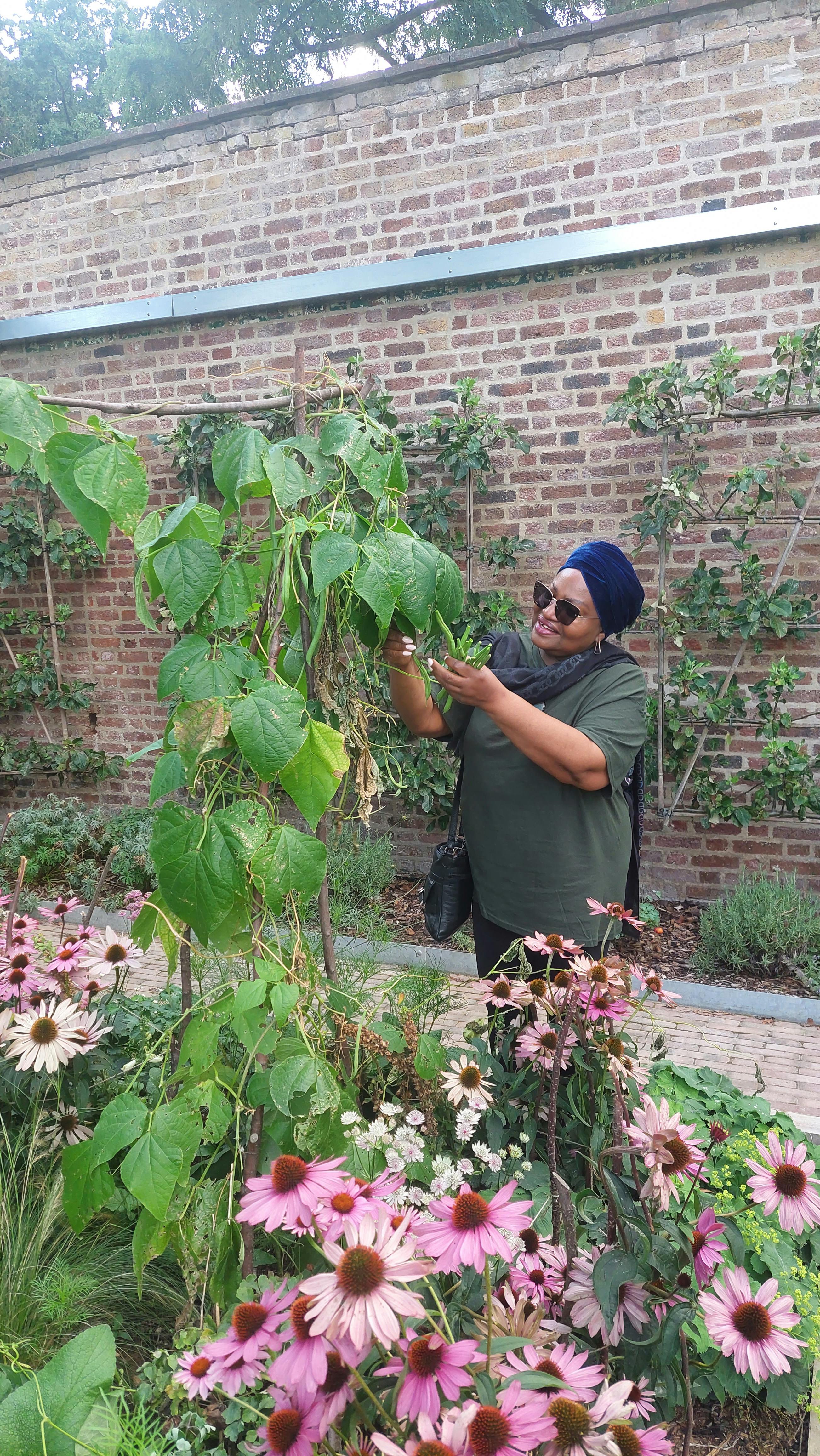 Nana harvesting beans.jpg