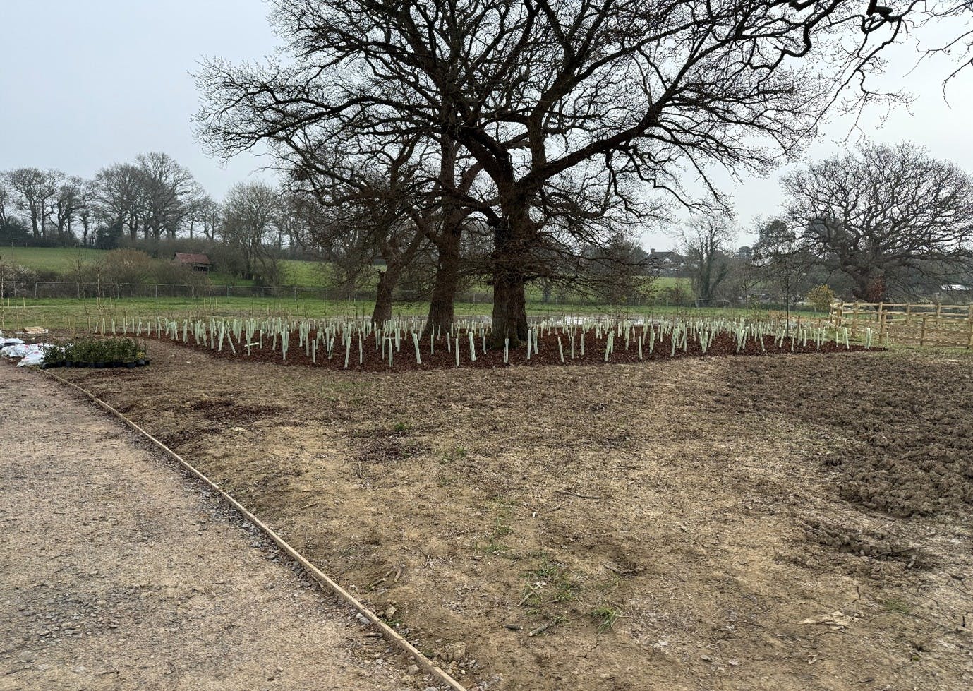 Building updates March 2026