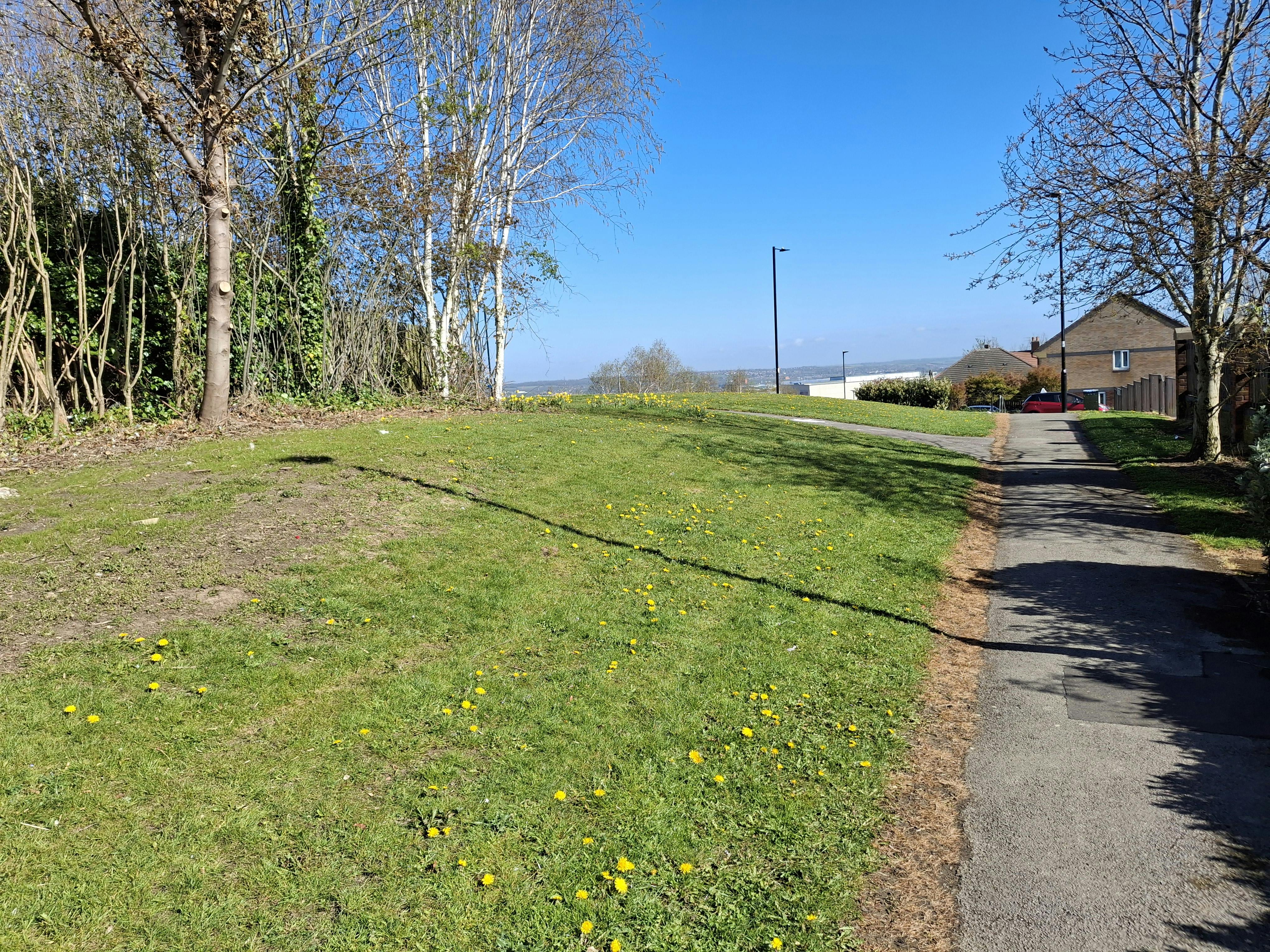 Motehall Walk Improvement