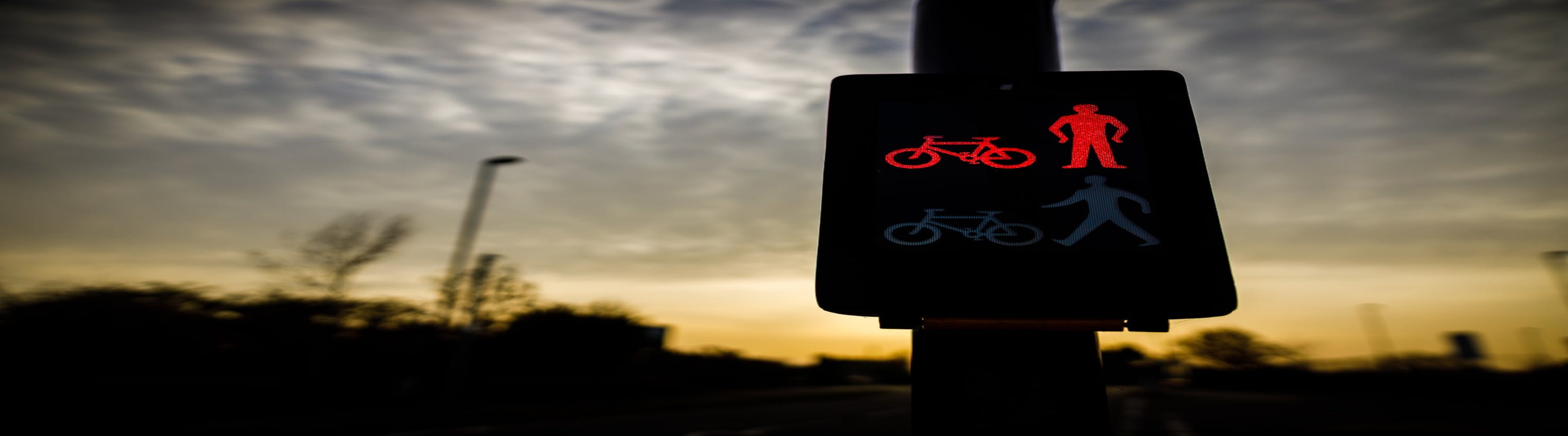 Photo of toucan crossing indicator.