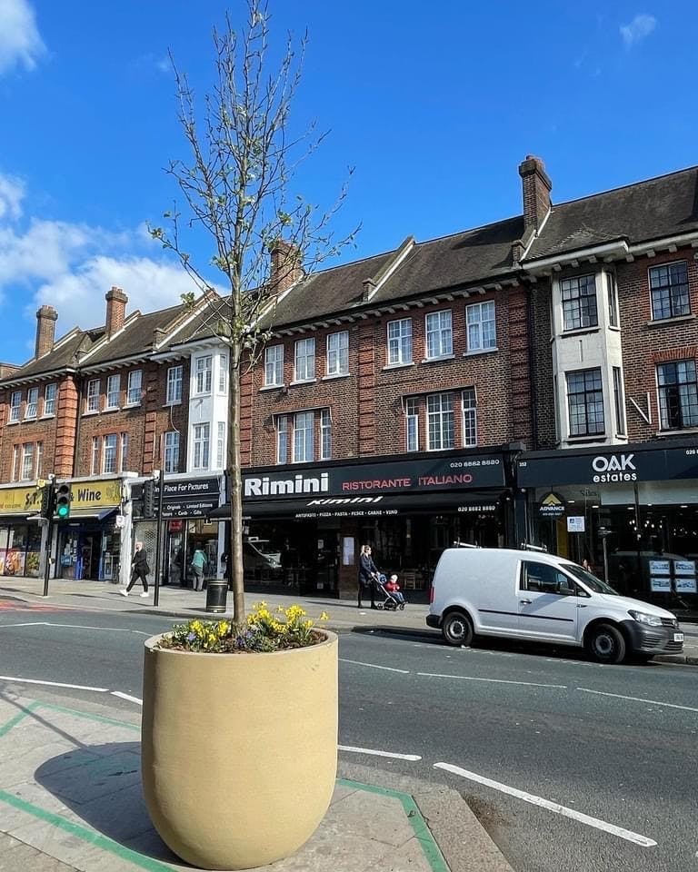 Palmers Green Trees - March 2022