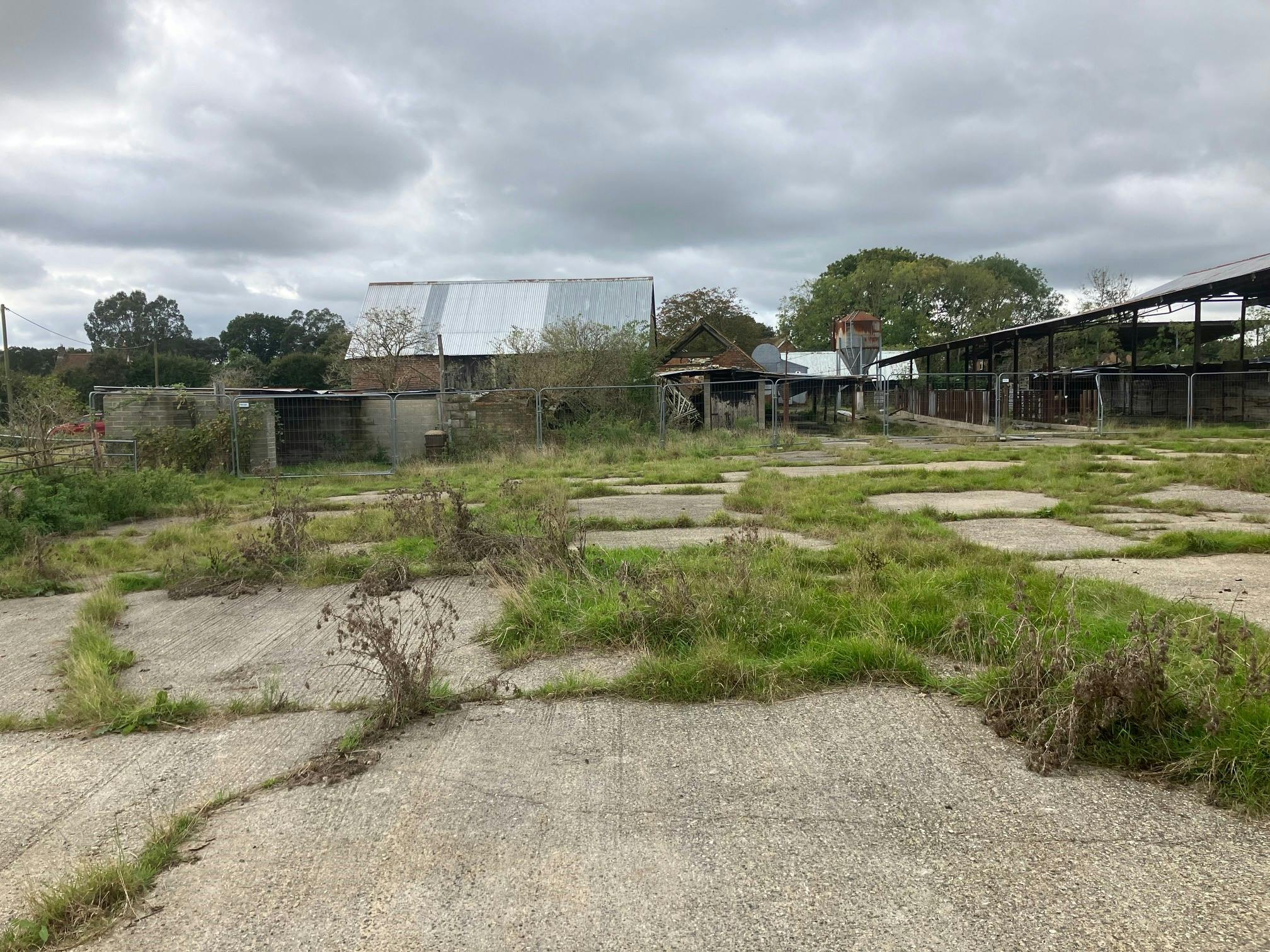 2024 Knights Farm West.jpg