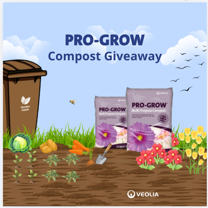 Pro-Grow compost competition 