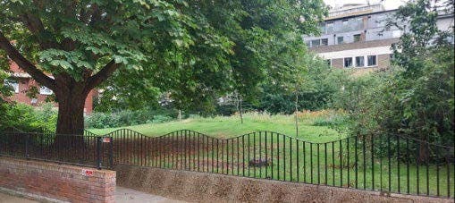 Area 3 - Wildflower Meadow Garden