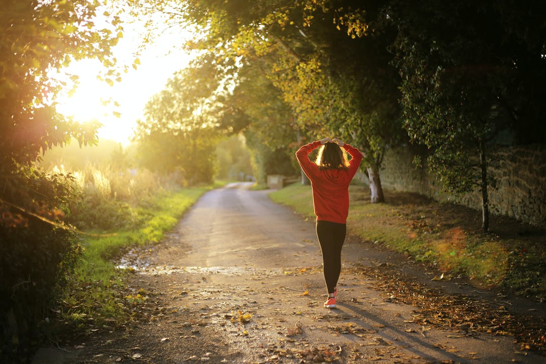 Person walking along a wooded on a sunshiny day